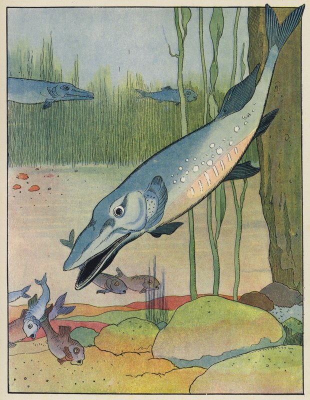 Peces de Benjamin Rabier