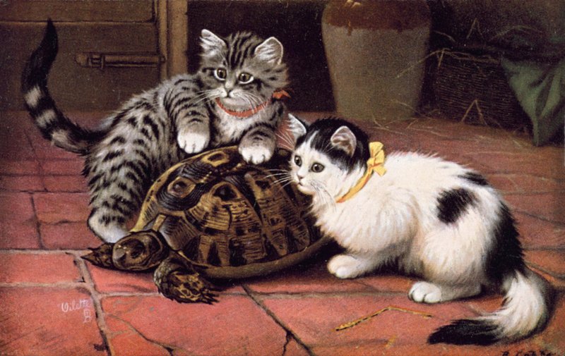 Postal felina (litografía en color) de Bernard Cobbe