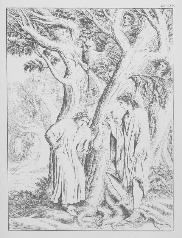 Divina Comedia de Dante, Infierno, lámina XXII (litografía) de Bernhard Schuler