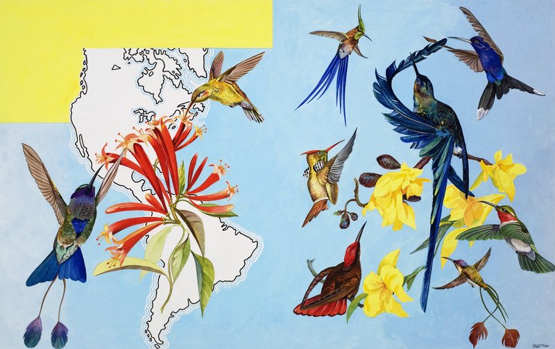 Pájaros de Bert Illoss