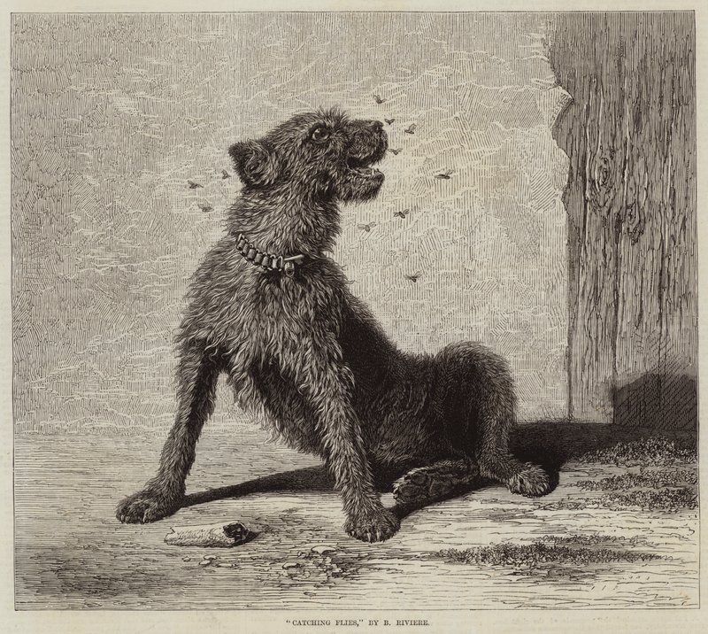 Cazando moscas de Briton Riviere