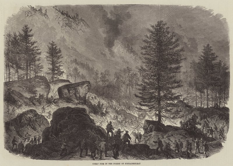Gran incendio en el bosque de Fontainebleau de Burn Smeeton