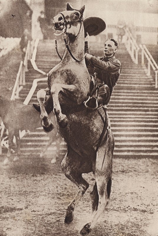 Vaquero controlando a un caballo encabritado (foto en b/n) de Canadian Photographer