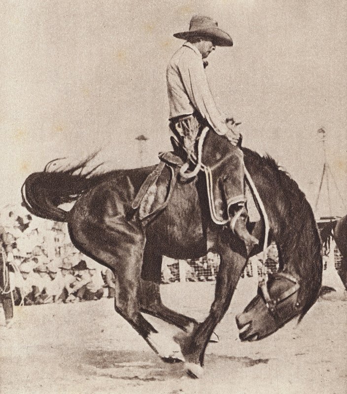 Vaquero montado en un bronco (foto en blanco y negro) de Canadian Photographer