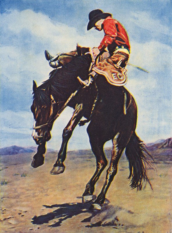 Vaquero montando un bronco (foto en color) de Canadian Photographer