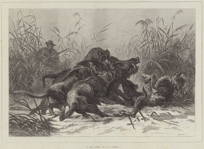 Una cacería de jabalíes de Carl Friedrich Deiker