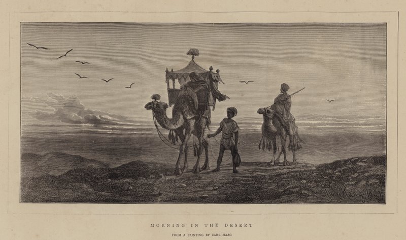 Mañana en el desierto de Carl Haag