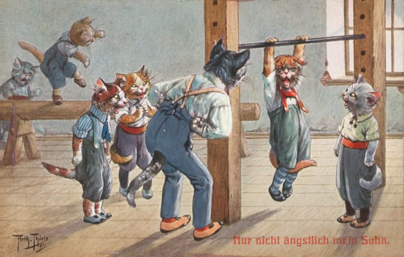 Postal humorística de gatos (litografía en color) de Carl Robert Arthur Thiele