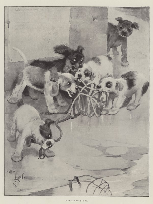 Revolucionarios de Cecil Charles Windsor Aldin