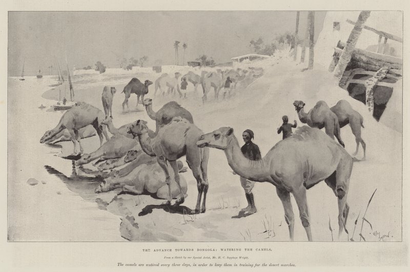El avance hacia Dongola, abrevando a los camellos de Cecil Charles Windsor Aldin