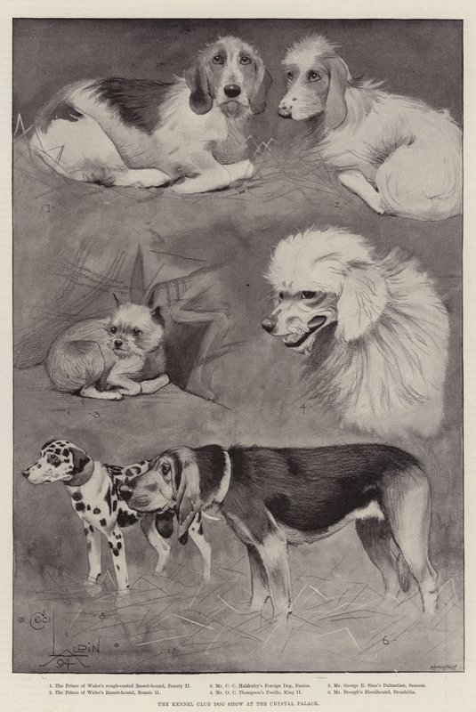 Exposición canina del Kennel Club en el Crystal Palace de Cecil Charles Windsor Aldin