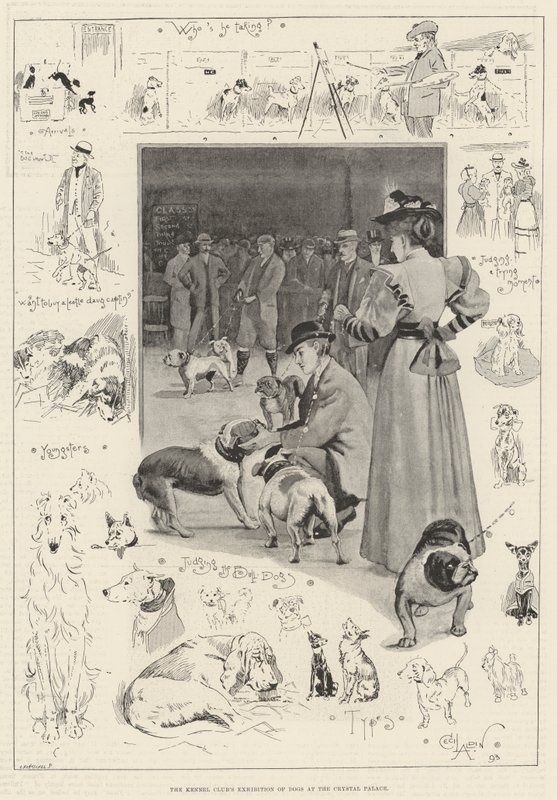 Exposición de perros del Kennel Club en el Crystal Palace de Cecil Charles Windsor Aldin