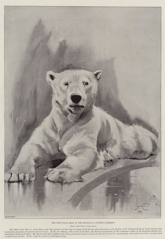 El último oso polar en los Jardines de la Sociedad Zoológica de Cecil Charles Windsor Aldin