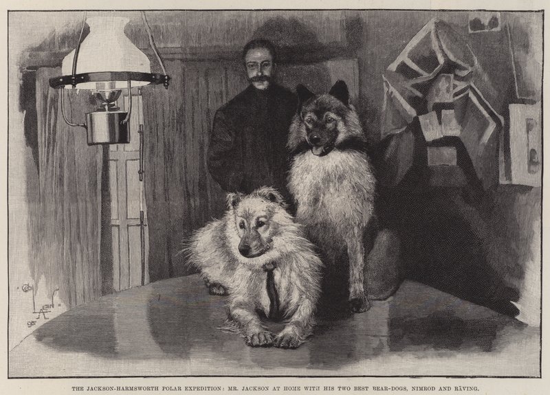 La Expedición Polar Jackson-Harmsworth, el Sr. Jackson en casa con sus dos mejores perros osos, Nimrod y Raving de Cecil Charles Windsor Aldin