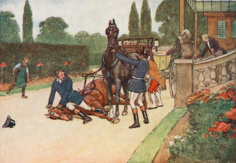 York se sentó rápidamente sobre su cabeza para evitar que luchara de Cecil Charles Windsor Aldin