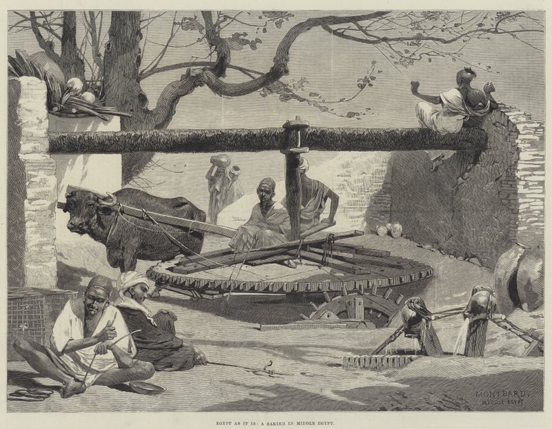 Egipto como es, una Sakieh en el Medio Egipto de Charles Auguste Loye