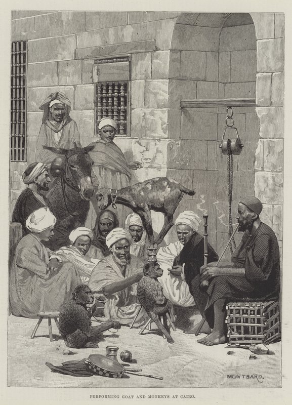 Cabra y monos actuando en El Cairo de Charles Auguste Loye
