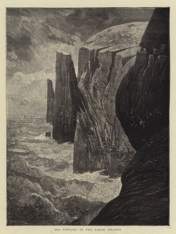 Caza de aves marinas en las Islas Feroe de Charles Auguste Loye
