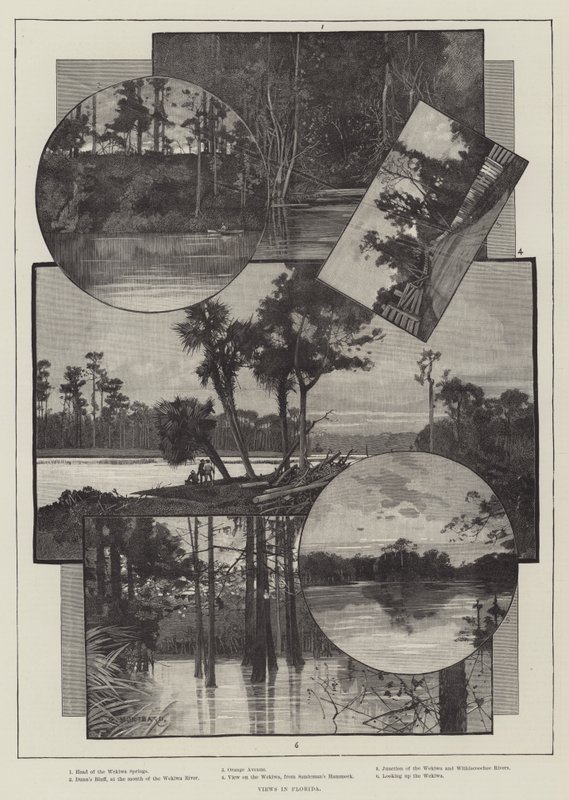 Vistas en Florida de Charles Auguste Loye