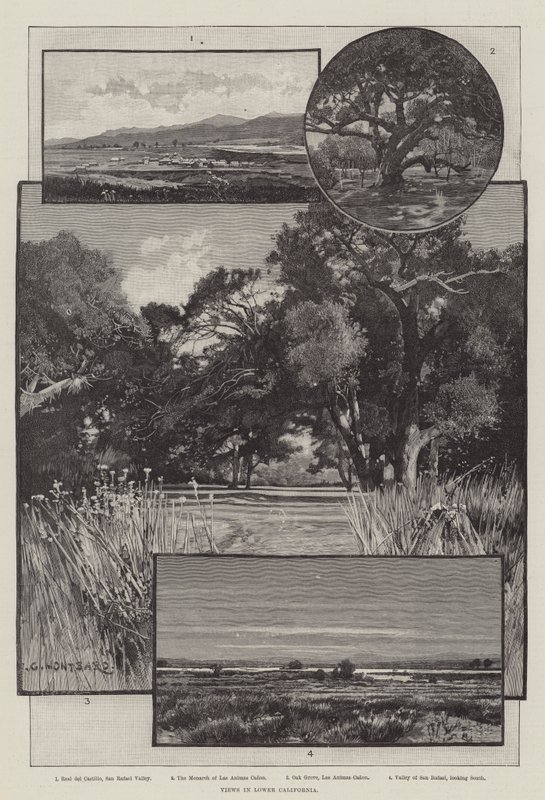 Vistas en Baja California de Charles Auguste Loye