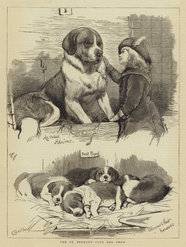 Exposición canina del Club San Bernardo de Charles Burton