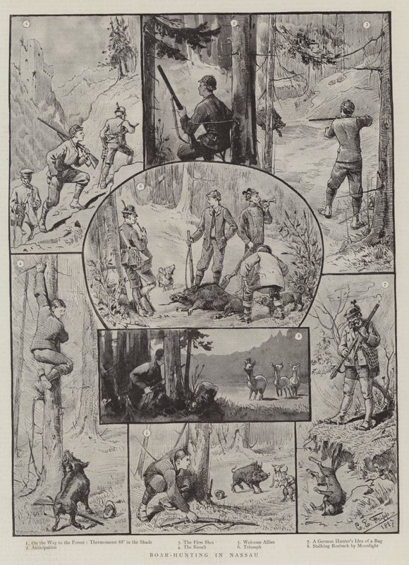 Caza de jabalíes en Nassau de Charles Edwin Fripp