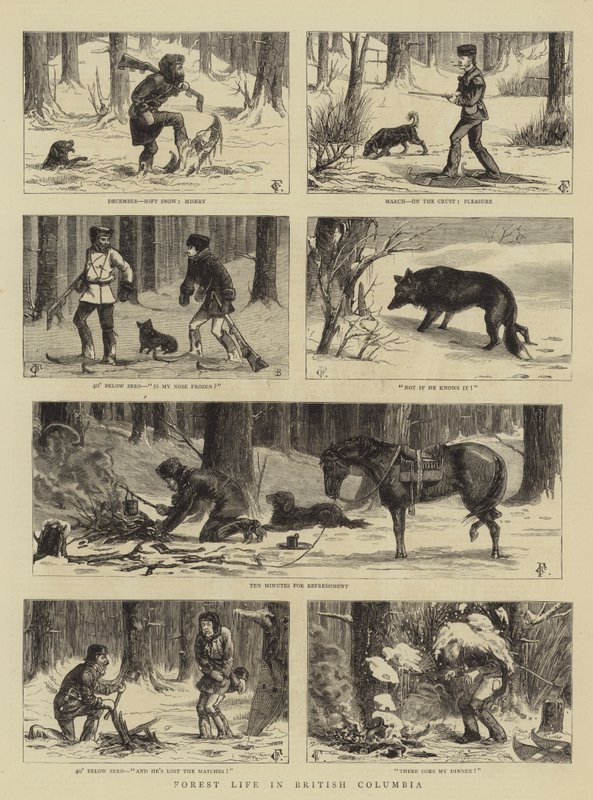 Vida en el Bosque en Columbia Británica de Charles Edwin Fripp
