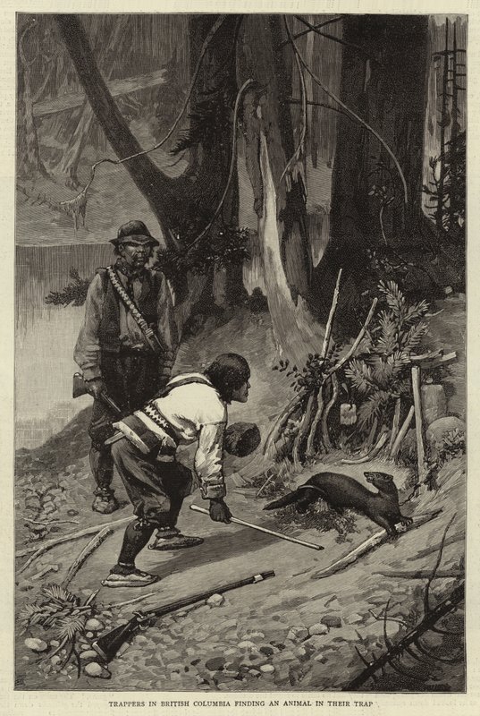 Tramperos en Columbia Británica encontrando un animal en su trampa de Charles Edwin Fripp