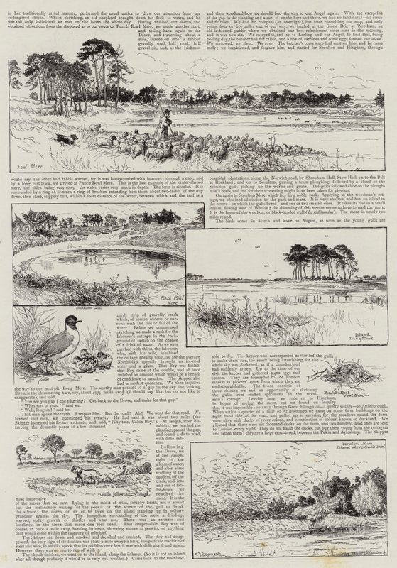 Rincones de Norfolk de Charles J. Staniland