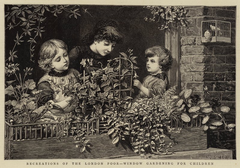 Recreaciones de los pobres de Londres, jardinería en ventanas para niños de Charles J. Staniland