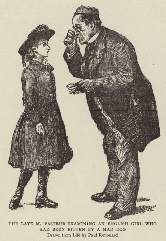 El difunto M. Pasteur examinando a una niña inglesa que había sido mordida por un perro rabioso de Charles Paul Renouard
