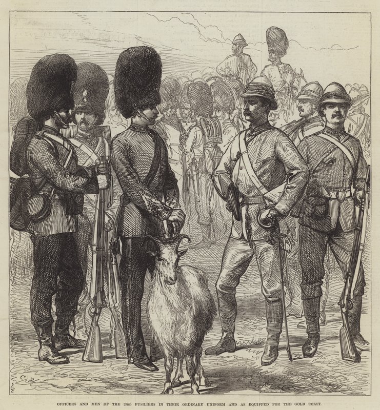 Oficiales y hombres del 23º de Fusileros en su uniforme ordinario y equipados para la Costa de Oro de Sir John Charles Robinson