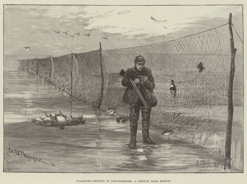 Caza de aves acuáticas en Lincolnshire, un boceto cerca de Boston de Charles Whymper