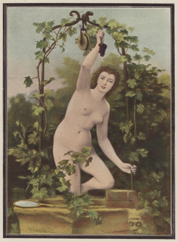 Mujer recogiendo uvas de una vid (litografia de color) de Charles (after) Landelle