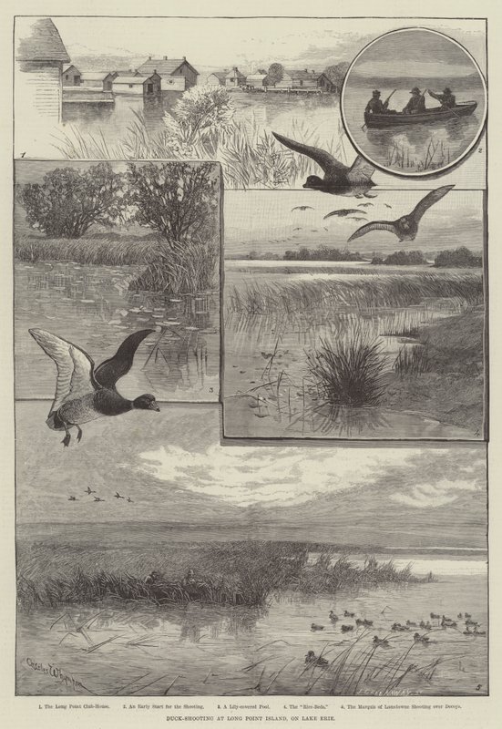 Caza de patos en Long Point Island, en el lago Erie (grabado) de Charles (after) Whymper