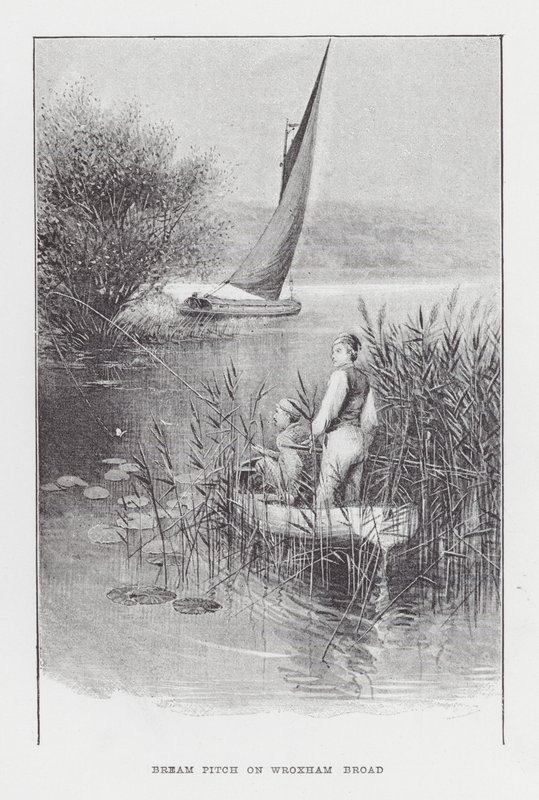 Pesca: Bream Pitch en Wroxham Broad de Charles (after) Whymper