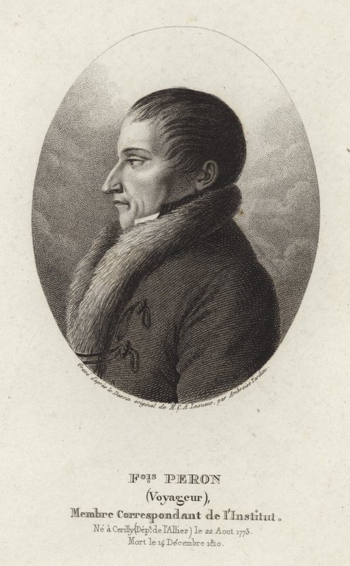 François Péron de Charles Alexandre Lesueur