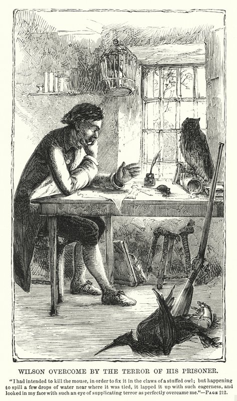 Wilson superado por el terror de su prisionero (grabado) de Charles Altamont Doyle