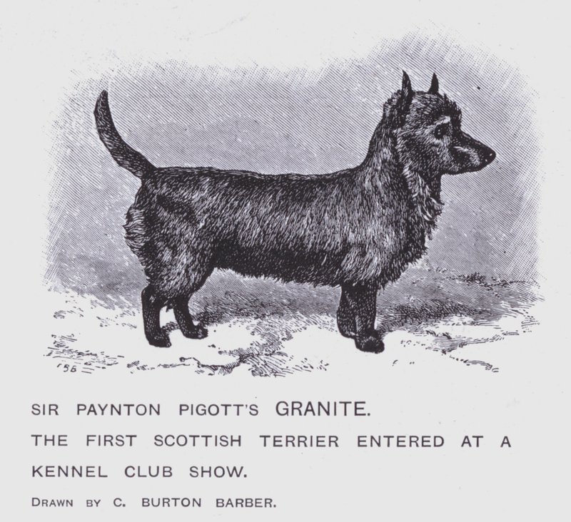 El Granito de Sir Paynton Pigott de Charles Burton (after) Barber