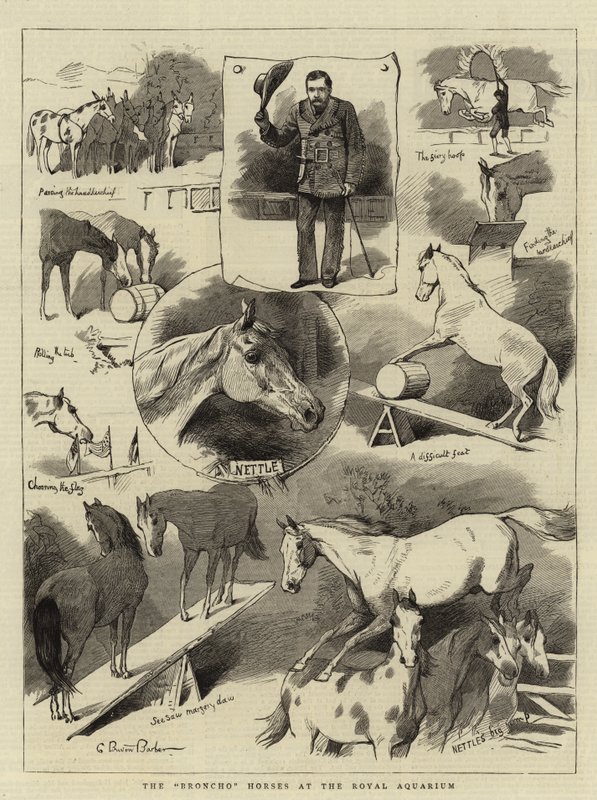 Los caballos Broncho en el Royal Aquarium de Charles Burton