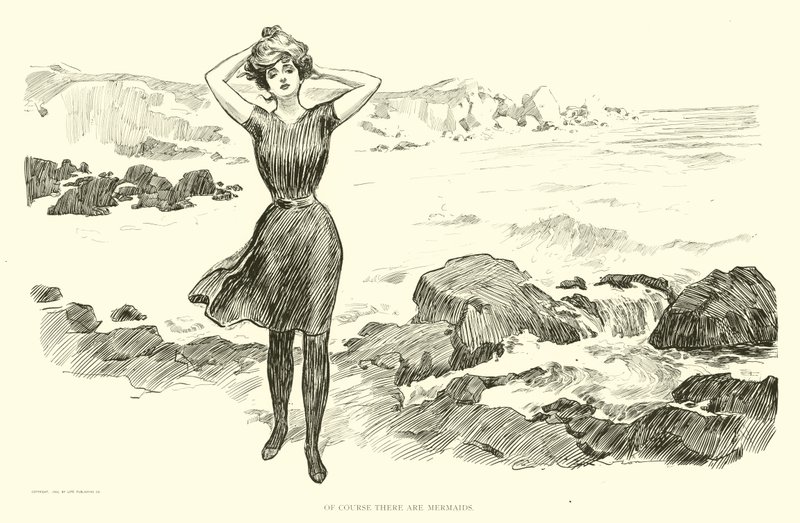 Ilustración para La Escalera Social de Charles Dana Gibson