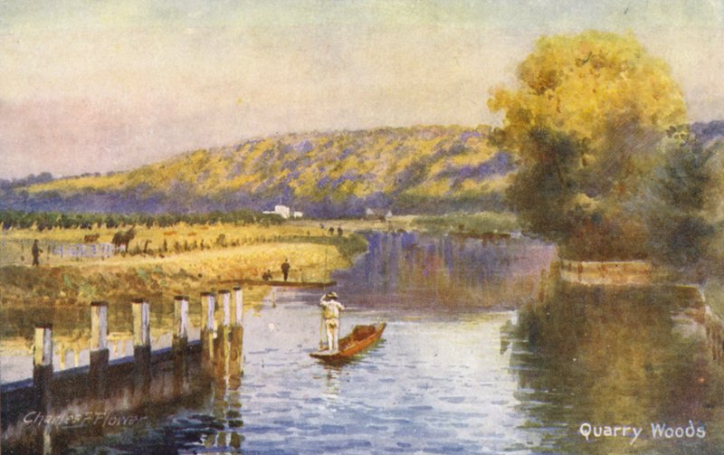 Río Támesis: Quarry Woods (litografía en color) de Charles Edwin Flower