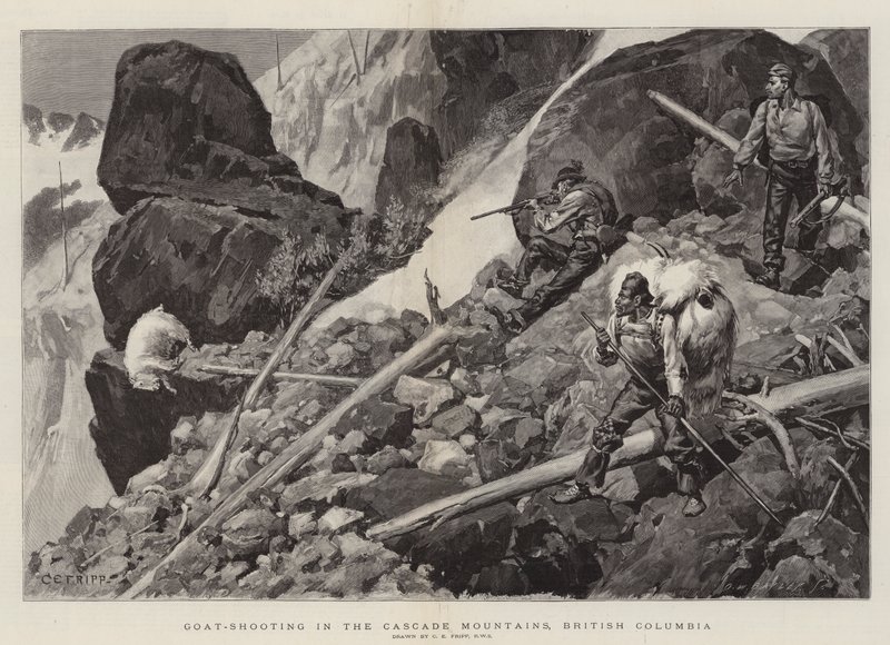 Caza de Cabras en las Montañas Cascade, Columbia Británica de Charles Edwin Fripp