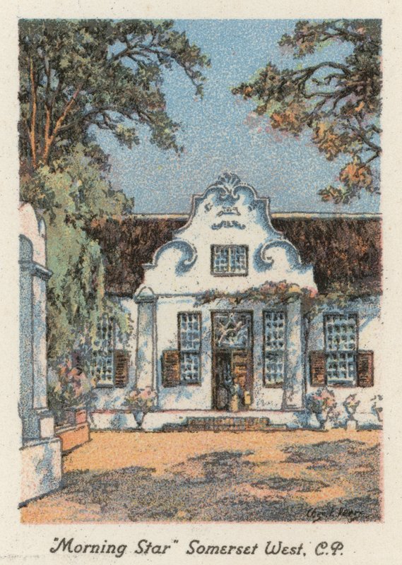 Sudáfrica: "Morning Star", Somerset West, CP (litografía en color) de Charles Ernest Peers