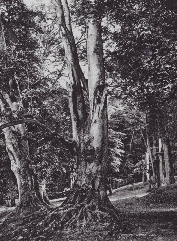 Un claro en el Parque Knole de Charles Essenhigh Corke