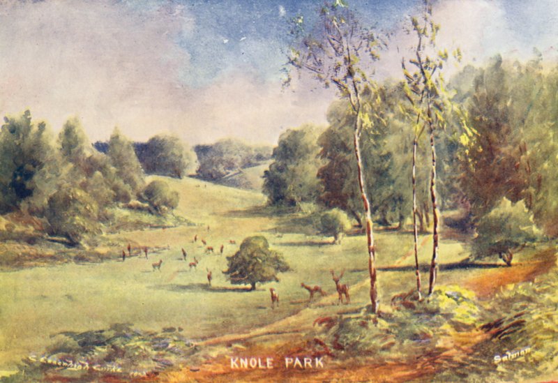 Casa Knole: Gland in the Park (litografía en color) de Charles Essenhigh Corke