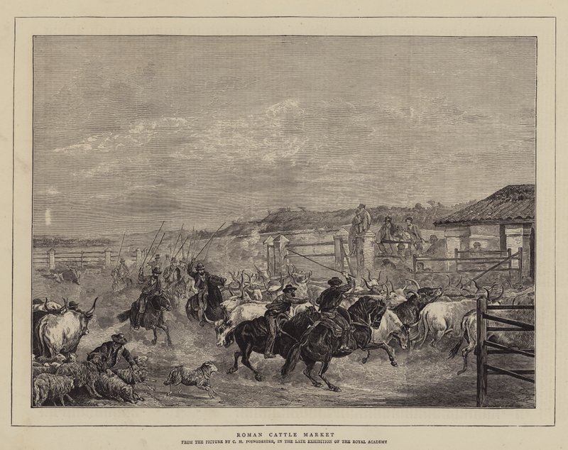 Mercado de ganado romano de Charles H. Poingdestre