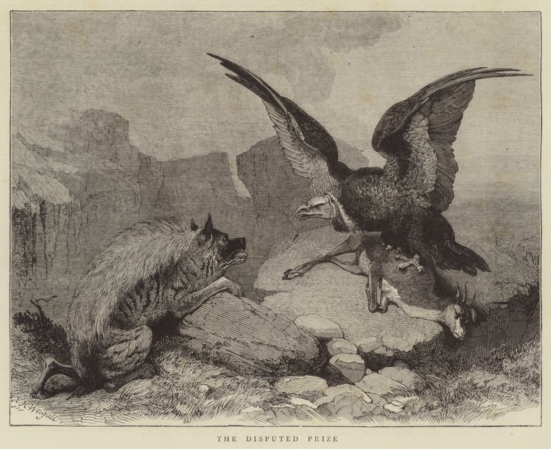 El Premio Disputado de Charles Harvey Weigall