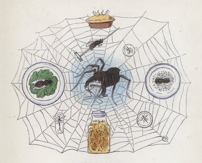 Araña en su telaraña rodeada de comida (grabado coloreado) de Charles Henry (after) Bennett