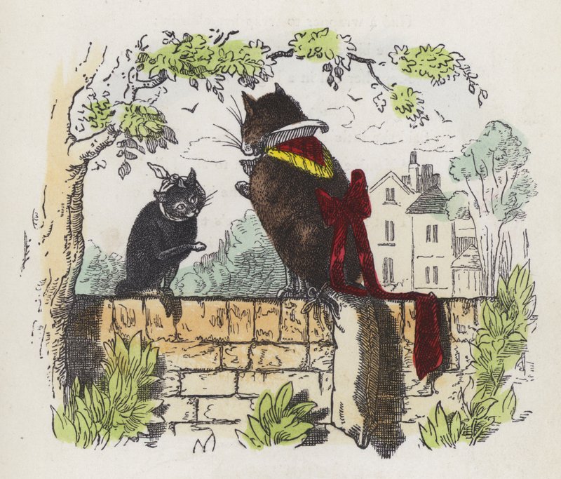 Dos gatos en una pared de jardín (grabado coloreado) de Charles Henry (after) Bennett